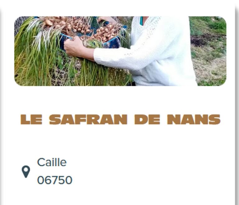 EPICERIE-SALEE3