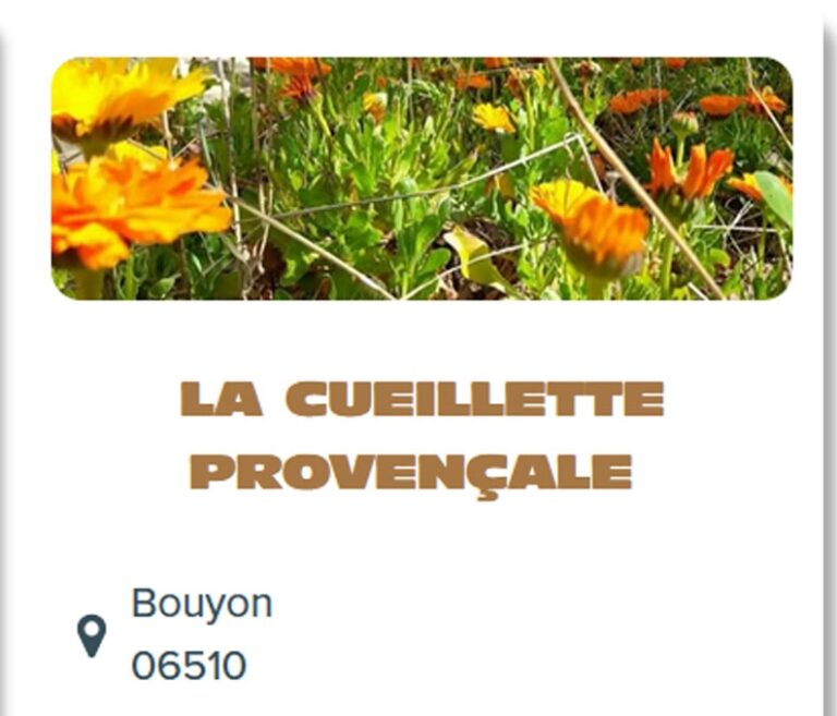 EPICERIE-SALEE4
