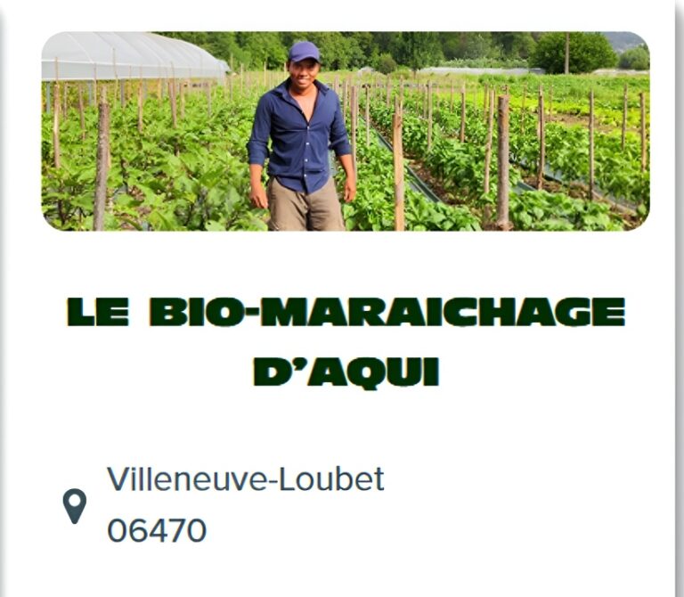 FRUITS ET LEGUMES2