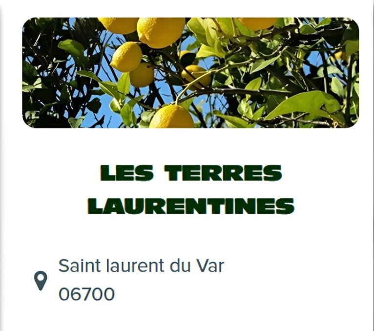 FRUITS ET LEGUMES6