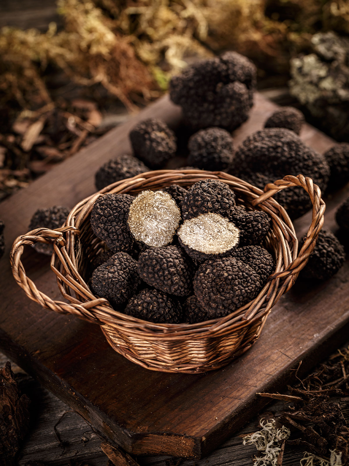 TRUFFES-CHAMPIGNONS