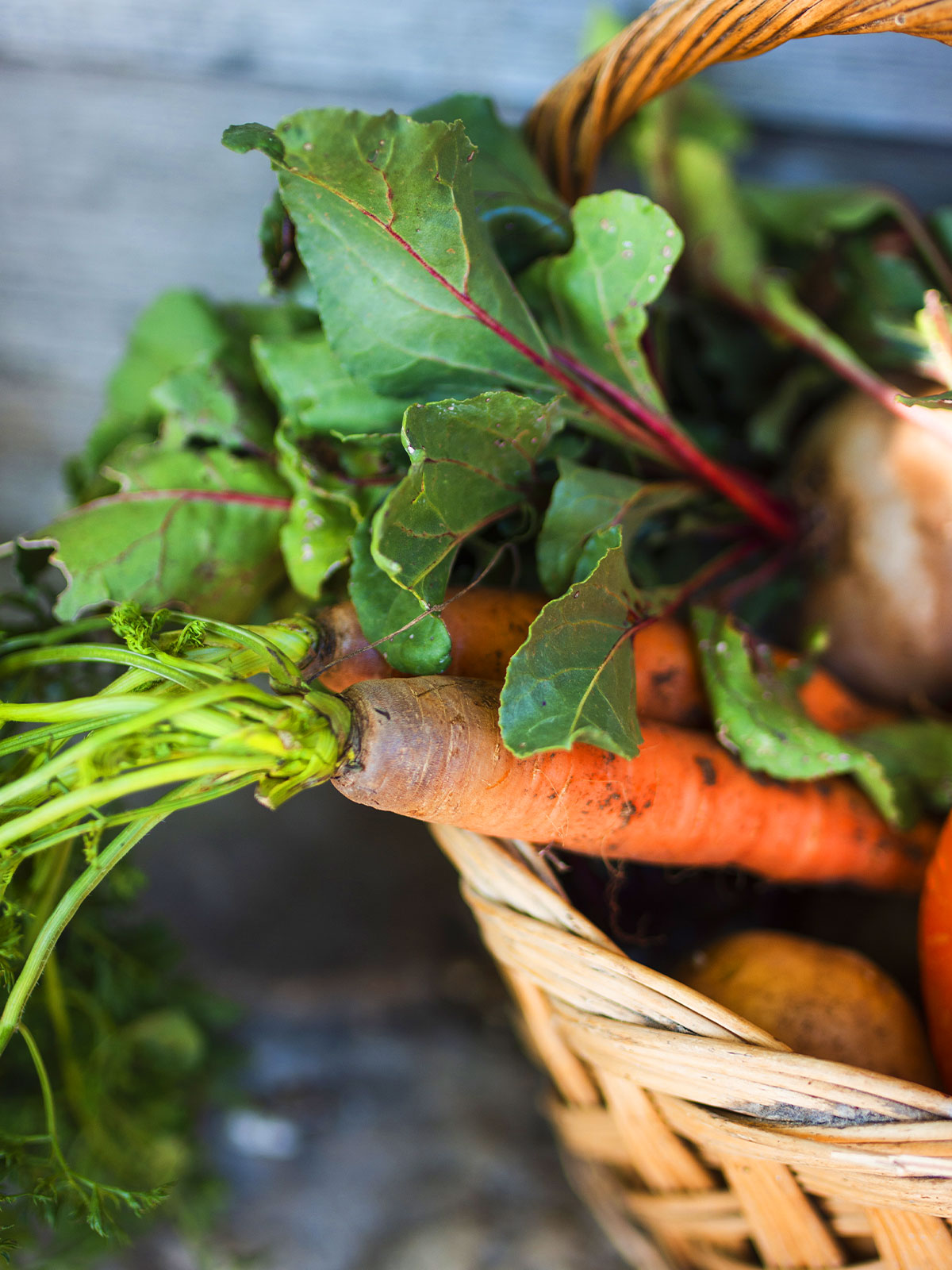 fruis-et-legumes